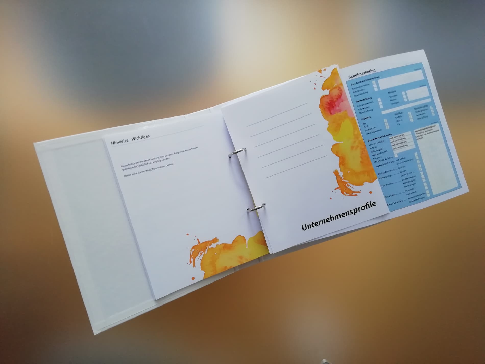 Praxis-Handbuch